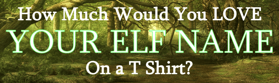 sexy elf names on T shirts are so cool
